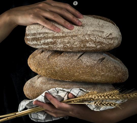 Understanding Gluten