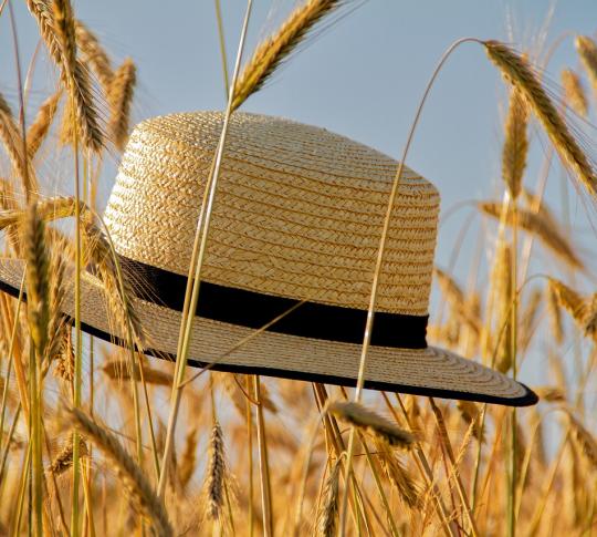 Staying Healthy During The Summer