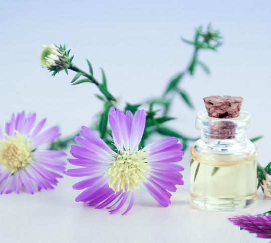 5 Essential Oils to help ease coughs and colds 