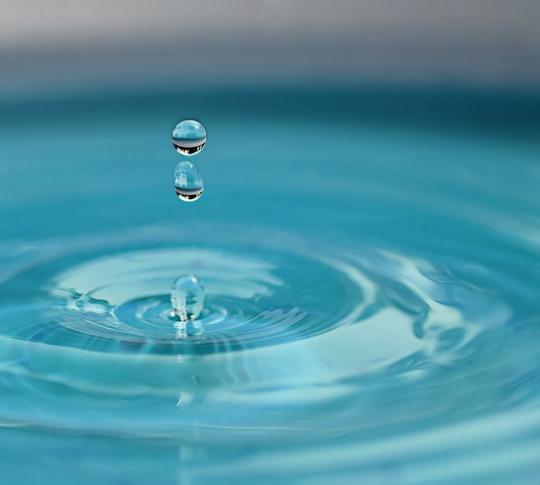 Yangsheng – the Chinese approach to promoting Wellbeing